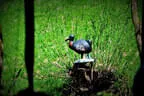 11. Iseltalturnier 2019 Bild 86