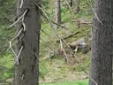 17. Dolomitenturnier 2019 Bild 89