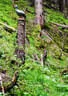 17. Dolomitenturnier 2019 Bild 91