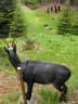 17. Dolomitenturnier 2019 Bild 140
