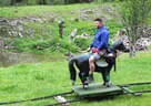 26. Sonnblickturnier 2019 Bild 42