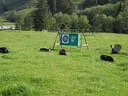 26. Sonnblickturnier 2019 Bild 68