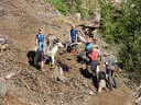 Salzburger LM 2019 Bild 63