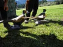 Salzburger LM 2019 Bild 76