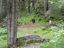 Vereinsmeisterschaft 2019 Bild 46