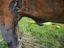 5erl Bowfire Schörhof 2019 Bild 46