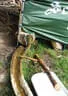5erl Bowfire Schörhof 2019 Bild 60
