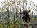 5erl Bowfire Schörhof 2019 Bild 81