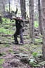 10 Jahre BSV Oberkrammern 2020 Bild 37
