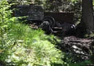 Weberbauerchallenge 2020 Bild 20