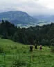 5erl BSC Pointenhof 2020 Bild 52