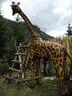 9. Turnier der BSU St. Veit 2021 Bild 29