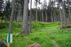L 100 /2022 Bild 38