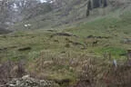 2. Bruggeralmchallenge 2023 Bild 85