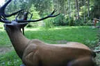 Jubiläumsturnier BSC Rietz 2023 Bild 83
