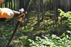 Jubiläumsturnier BSC Rietz 2023 Bild 85