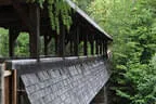 Vereinsausflug Ritten 2023 Bild 60
