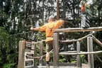 Vereinsausflug Ritten 2023 Bild 223