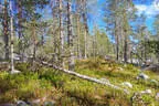 WBHC 2023 in Finnland Bild 40