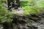 Weberbauerchallenge 2023 Bild 15