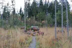 Parcoursumbau 2023/24 Bild 24