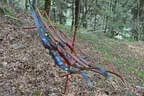 5-erl BSV Avalon 2024 Bild 46
