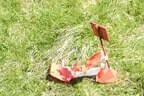 29. Sonnblickturnier 2024 Bild 12