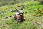 3. Bruggeralmchallenge 2024 Bild 60