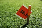 26. Scharnitzer Speckschießen 2024 Bild 77