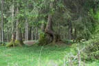 19. Glemmerehofturnier 2025 Bild 66