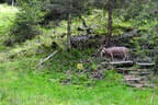 19. Glemmerehofturnier 2025 Bild 80