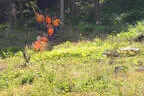 13. Turnier der BSU St. Veit 2025 Bild 58