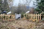 Winterumbau 2025/26 Bild 12