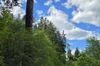 Vereinsausflug Ritten Bild 107