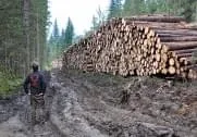 Aufräumungsarbeiten am Parcours