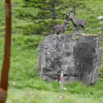 30.-Sonnblickturnier-Rauris-2025 30.-Sonnblickturnier-Rauris-2025